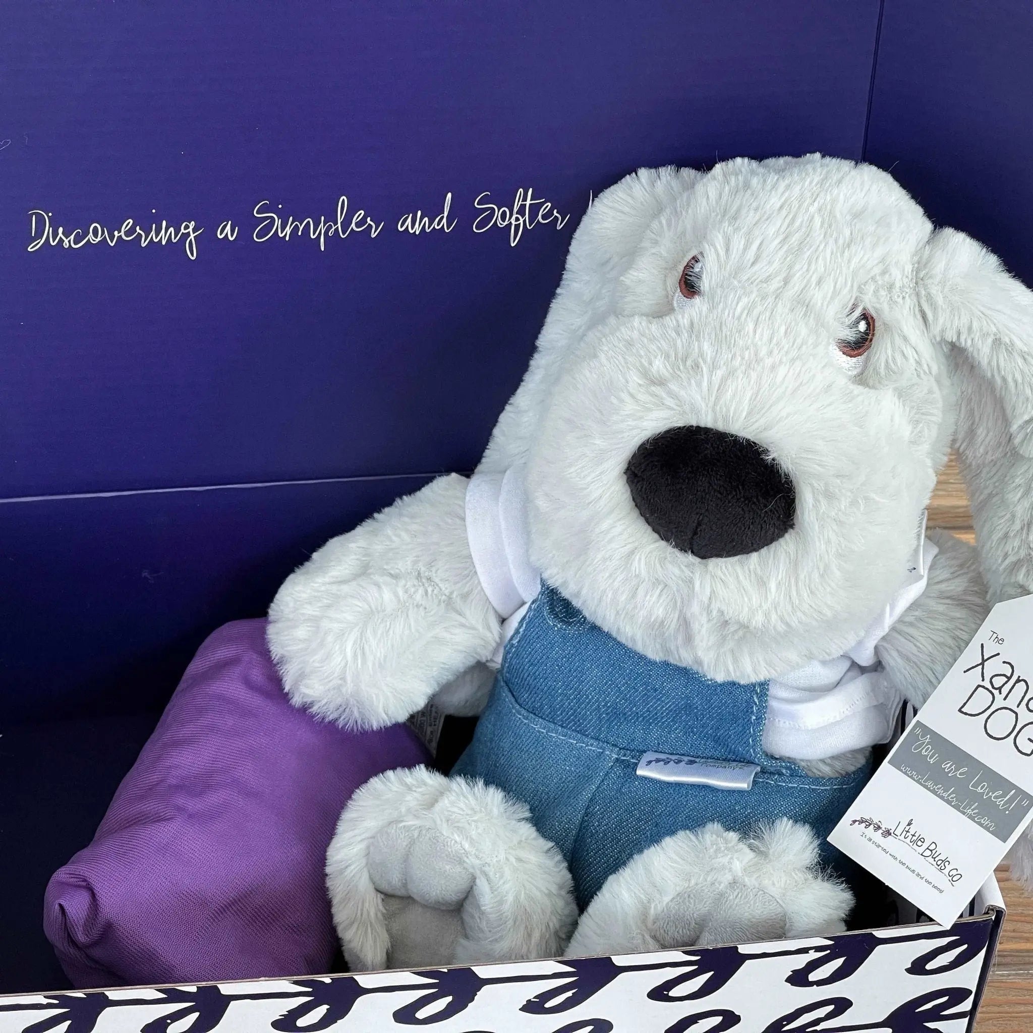 Xander Stuffed Dog Gift Set - With Clothing & More